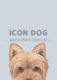 ICON DOG - Yorkshire terrier - BL/05