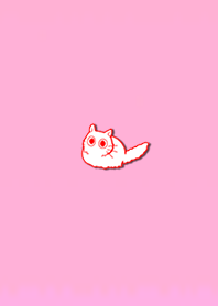 Simple lucky strongest cat