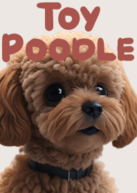 愛玩耍的玩具貴賓犬