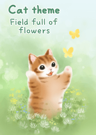 猫たちの着せかえ11