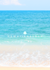 HAWAIIAN BEACH -shell- 6