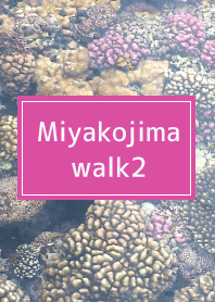 Miyakojima walk2
