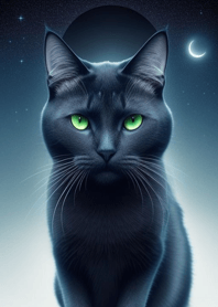 夜月の黒猫 GPqrN