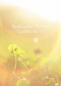Real Lucky Clovers Cuddle #3-12