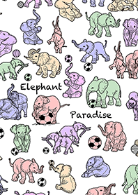 象の樂園 #03(白)