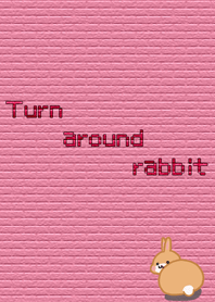 Turn around rabbit