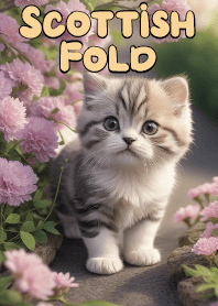Innocent Scottish Fold Cat VOL.3