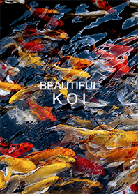 Beautiful Koi