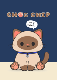 Choc Chip Cat