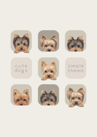 DOGS - Yorkie - GREEN GRAY