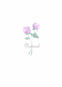 Soft and light rose3.