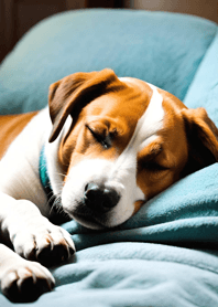 Bright Moon and Dawn 4fEf6D