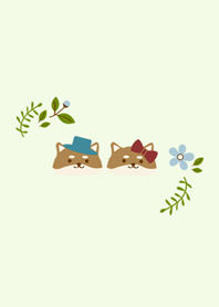 Shiba Inu 커플 - 꽃과 식물