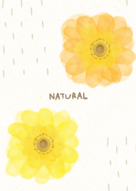 水彩 2輪の花3
