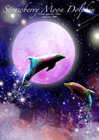 Strawberry moon Dolphin