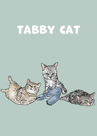 tabbycat5 / mint