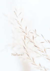 ナチュラルなきせかえ4