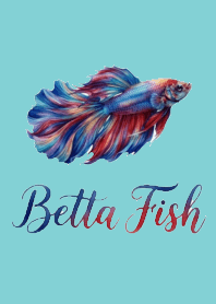 鬥魚：多彩主題 V.5