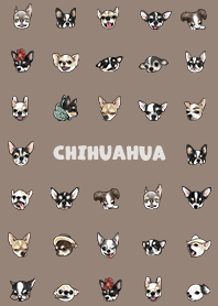 chihuahua2 - brown