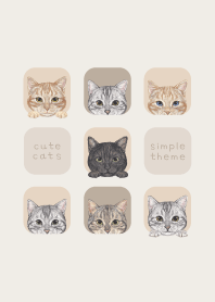 CATS - American Shorthair - BEIGE GRAY