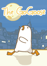 GoGoose Night Run