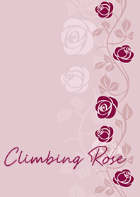 Climbing Rose*mauve-pink