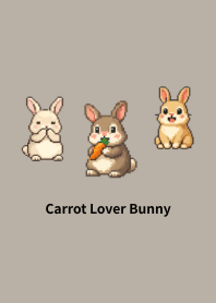 Pixel Bunny: Carrot Addict_007