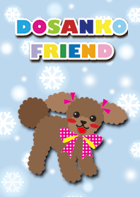 RUBY&FRIEND [toy poodle/apricot]Snow+