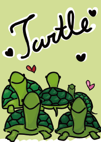 My Five Turtle