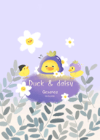 Duck&daisy