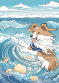 sheltie summer version