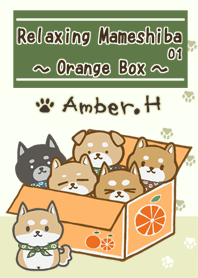 放鬆的狗 1- 柴犬橘子盒