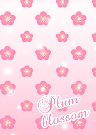 可愛い梅の着せかえ