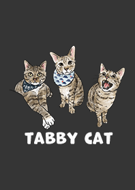 tabbycat2 / carbon