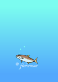 カンパチだよ!