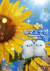 Long-tailed Tit and Sunflower  Clover