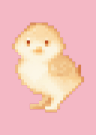 Chick Pixel Art Theme  Pink 05