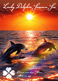 Lucky Dolphin Summer Sea8#