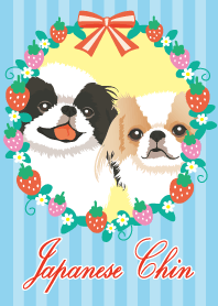 Various Japanese Chin -Strawberry-