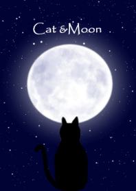 Cat loves Moon