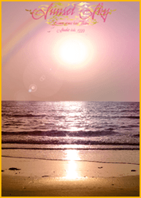 Sunset Sun Luck Dolphin2*