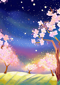 Beautiful night cherry blossoms#2673