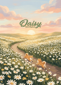 Daisy Field at Daybreak
