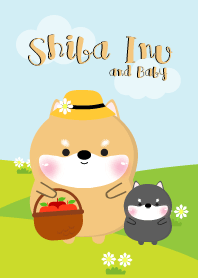 Shiba Inu and Baby Theme