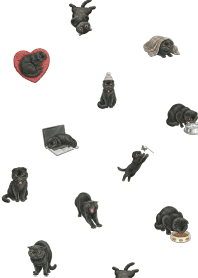 โทเทมแมวน่ารัก 2/พื้นฐาน