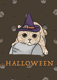 meow's halloween - chocolate