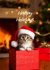 christmas and kitten