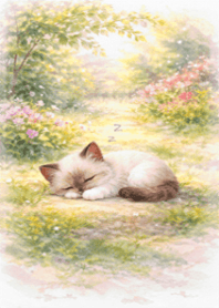 春日朝陽布偶貓