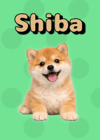 Shiba Inu Plush Theme Green 02