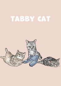 tabbycat5 - sea shell